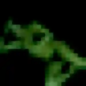 Irene (36 ans) à Saint-Vincent-la-Commanderie cherche une rencontre ce soir