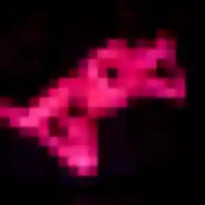 Rejoins Chiara, 25 ans à Sainte-Blandine en privé