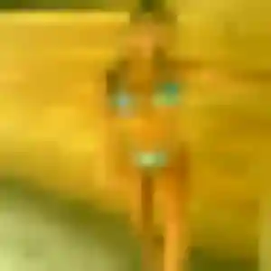 Profil de Ameline à Sainte-Colombe (28 ans) - plan cul discret