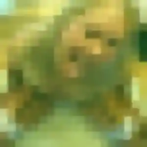 Jolie Dounia, 28 ans à Sainte-Florine - voir sa photo