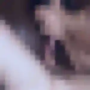 Fanny, 23 ans, cherche un plan cul à Sainte-Gemme-la-Plaine