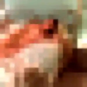 Jade, 45 ans, disponible à Saintines pour un plan cul