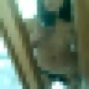 Belle Paloma, 25 ans à Salagnon - la contacter