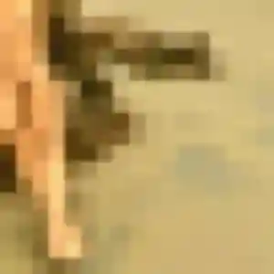 Delice, 37 ans, disponible à Sallertaine pour une rencontre coquine