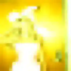 Charlotte, 39 ans, connectée à Santec pour une rencontre coquine