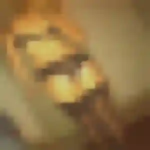 Découvre Sophie, 28 ans à Sarrigné en privé