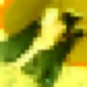 Rencontre Elena, 28 ans à Sars-et-Rosières en privé