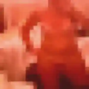 Profil de Charlotte à Saulce-sur-Rhône (31 ans) - plan cul gratuit