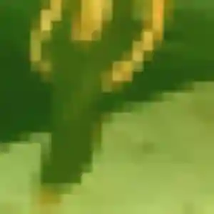 Elsa de Saulieu, 30 ans - plan cul discret