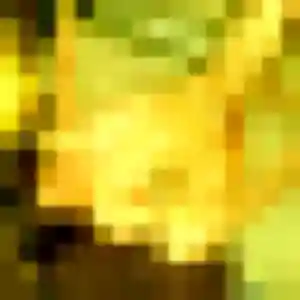 Jolie Ursula, 32 ans à Saulieu - la contacter