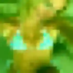 Alessandra, femme de 28 ans propose plan cul à Saussines