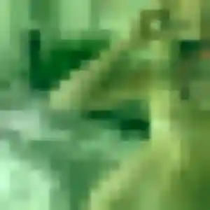 Ava de Savennières, 38 ans - plan cul sans prise de tête