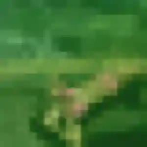 Belle Celeste, 36 ans à Saverne - la contacter