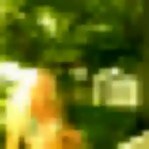 Domitille, femme de 40 ans cherche plan cul à Savignies