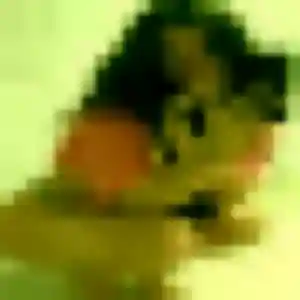 Fabienne, fille de 32 ans propose plan cul à Schleithal