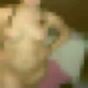 Fiona, 34 ans, cherche un plan cul à Schlierbach