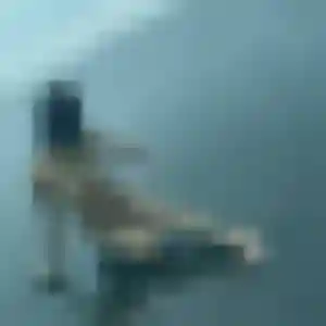 Photo privée de Christine, 42 ans à Scientrier - plan discret
