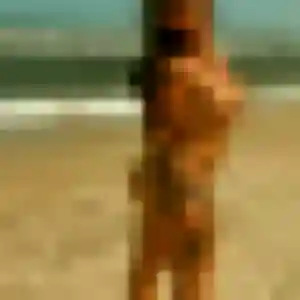 Rencontre Blanche, 45 ans à Seclin en t'inscrivant