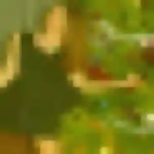 Photo privée de Salome, 33 ans à Seilh - rencontre coquine