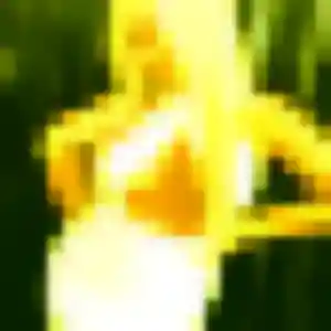 Photo privée de Chloe, 45 ans à Senillé-Saint-Sauveur - rencontre coquine