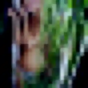 Whitney (32 ans) à Sequedin cherche une rencontre aujourd'hui