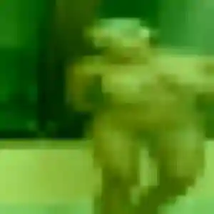 Inaya, fille de 33 ans cherche plan cul à Setques