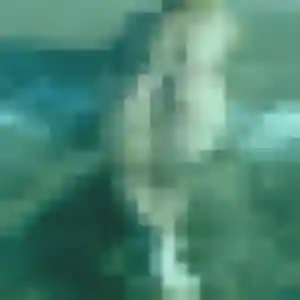 Typhaine, fille de 23 ans cherche plan cul à Seulline