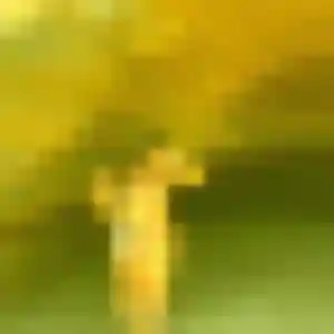 Zineb de Sibiril, 33 ans - plan cul discret