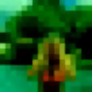 Nora, 23 ans, connectée à Signy-le-Petit pour une rencontre coquine