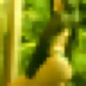 Clemence (26 ans) à Socx propose un plan cul ce soir