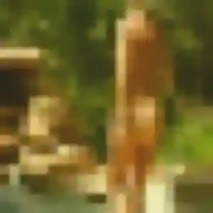 Lucienne de Sonchamp, 44 ans - plan cul sans lendemain