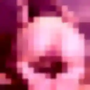 Belle Augustine, 44 ans à Sonnay - découvrir son profil