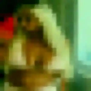 Emilie (37 ans) à Sorgues attend un plan cul aujourd'hui