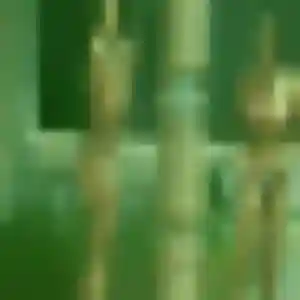 Sexy Verane, 29 ans à Sorigny - la contacter