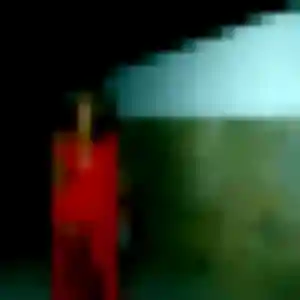 Photo de Fabienne à Soubise (27 ans) - plan cul anonyme