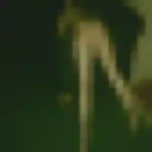 Découvre Emeraude, 32 ans à Souffelweyersheim gratuitement