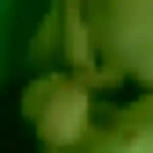Vicky (29 ans) à Souvigné-sur-Sarthe attend une rencontre ce soir