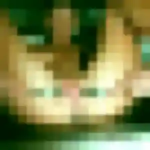 plan cul à Steenvoorde : photo de Daniela, 32 ans - inscription gratuite