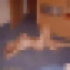 Nadine, 29 ans, dispo pour plan cul à Stuckange
