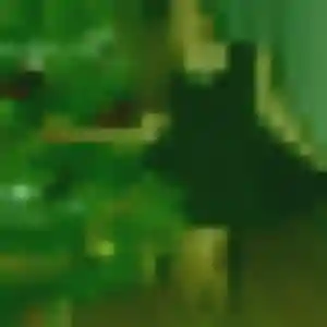 Sexy Camille, 24 ans à Tarascon-sur-Ariège - la contacter