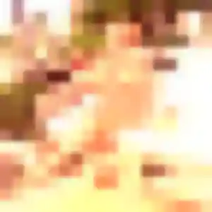 Photo exclusive de Daniela, 37 ans à Tassin-la-Demi-Lune - rencontre sans lendemain