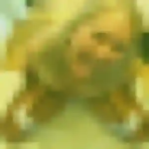 Jean-Marie, 44 ans, cherche un plan cul à Templemars