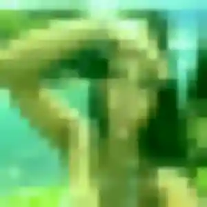 Photo exclusive de Aisha, 45 ans à Thoard - rencontre coquine