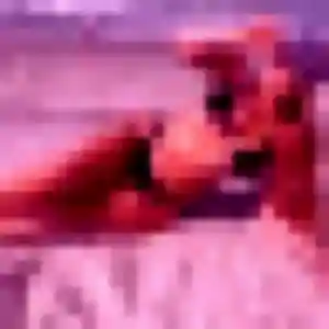 Rencontre Anna, 32 ans à Thumeries gratuitement