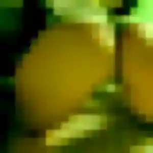 Photo privée de Margot, 44 ans à Thurageau - rencontre sans lendemain
