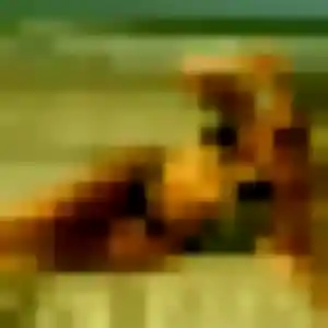 plan cul à Tortequesne : photo de Idalina, 34 ans - inscription gratuite