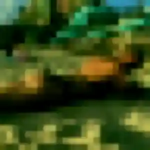 Leontine, 30 ans, cherche un plan cul à Tournefeuille