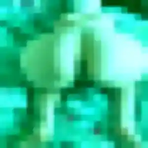 Profil de Brunehilde à Toutlemonde (38 ans) - plan cul gratuit