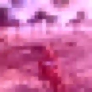 Anne-Laure de Trets, 23 ans - plan cul sans lendemain