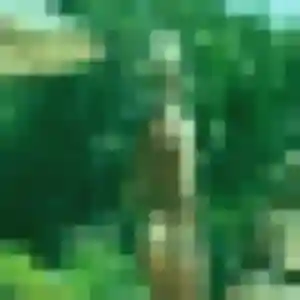 Découvre Tiffany, 30 ans à Trévoux gratuitement